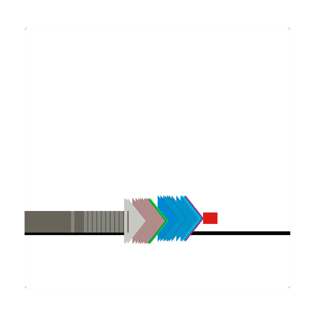 Pulsera multicolor elástica, ajustable, liviana, cómoda, versátil y atemporal. Diseño conceptual latinoamericano. Escala micro.